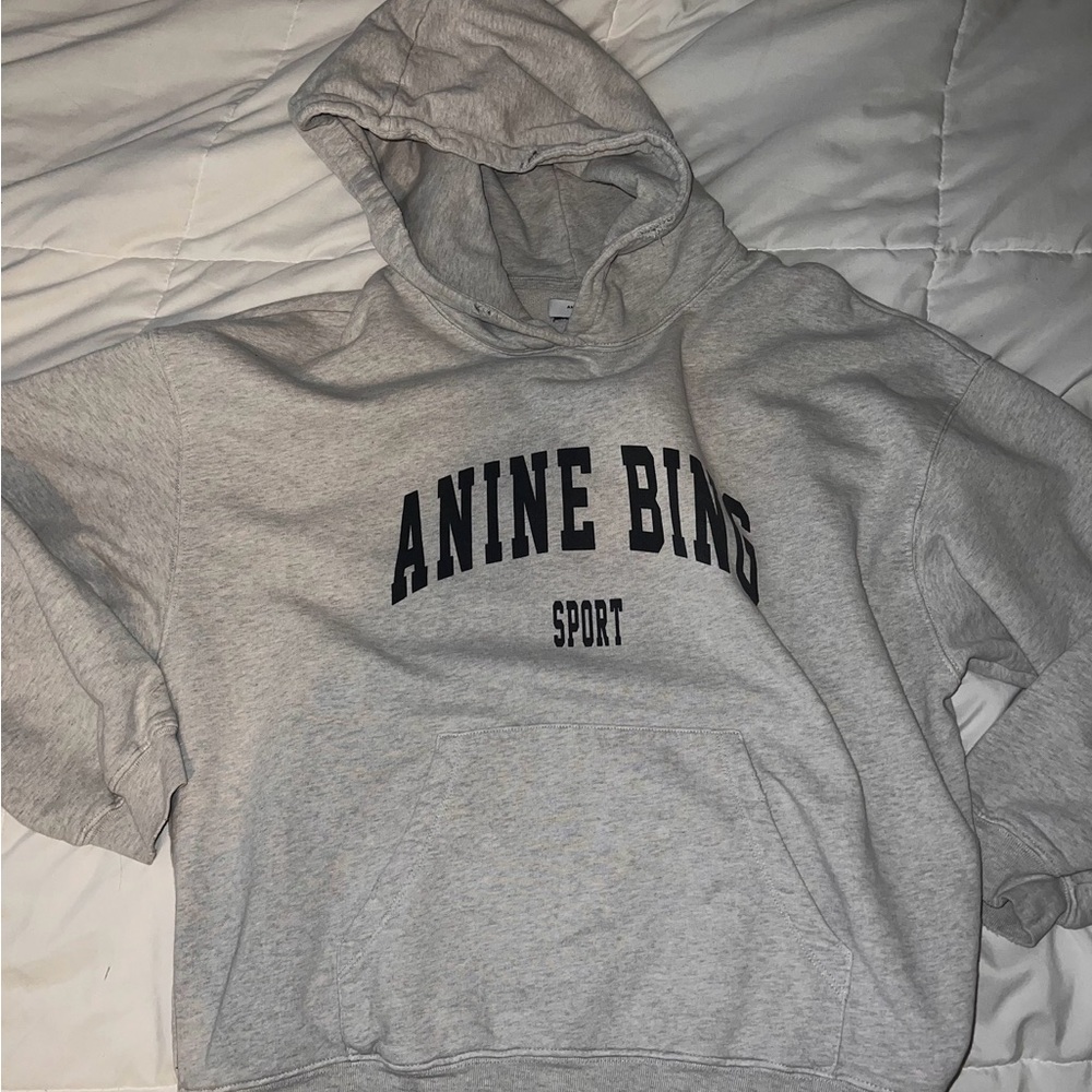 Anine Bing Sport Gray Hoodie